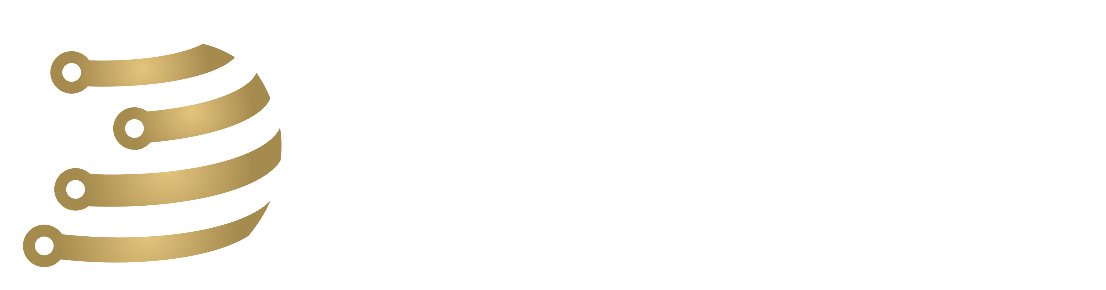 Iron Comet Customer Portal